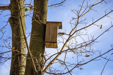 Ormanda gökyüzüne karşı ağaçtaki kuşlar için ahşap kuş yuvası.
