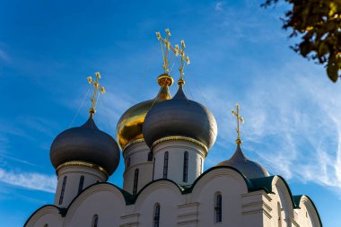 Novodevichy manastırı (Bogoroditse-Smolensky manastırı) güneşli bir günde. Smolensk Katedrali 'nin kubbeleri (16. yüzyıl). Moskova, Rusya. UNESCO dünya mirası sahası    