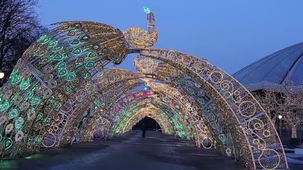 Julen Nyår Semester Dekoration Moskva Natten Ryssland Nära Big Moscow — Stockvideo