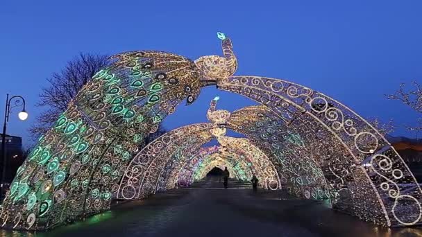 Julen Nyår Semester Dekoration Moskva Natten Ryssland Nära Big Moscow — Stockvideo