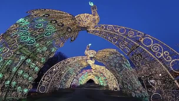 Decoração Natal Feriados Ano Novo Moscou Noite Rússia Perto Grande — Vídeo de Stock