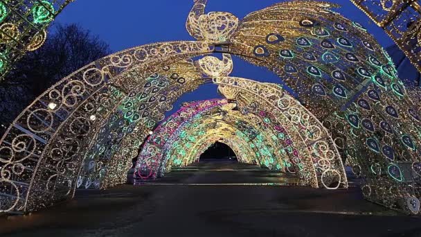 Boże Narodzenie Nowy Rok Wakacje Dekoracja Moskwie Nocy Rosja Pobliżu — Wideo stockowe