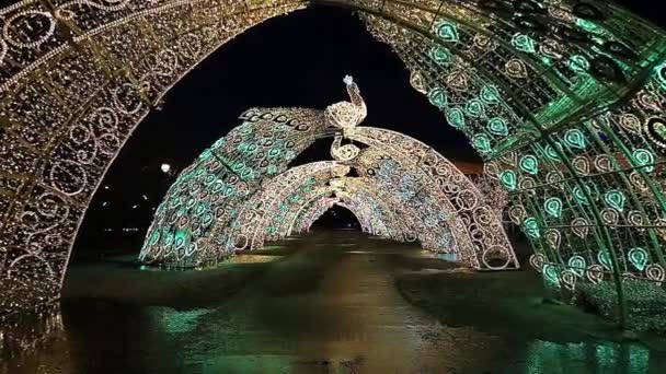 크리스마스 모스크바 러시아 베르나 프로스 모스크바 서커스단 — 비디오