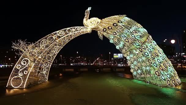 Decorațiuni Crăciun Sărbătorile Anul Nou Moscova Noaptea Rusia Lângă Circul — Videoclip de stoc