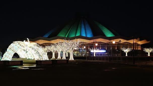 Karácsonyi Szilveszteri Dekoráció Moszkvában Éjszaka Oroszországban Közel Nagy Moszkvai Cirkuszhoz — Stock videók