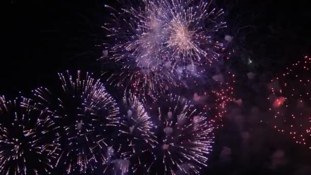 Volleys Firework Splits Millions Lights Night Sky Vibrant Colorful Fireworks — 图库视频影像