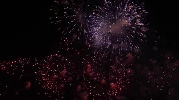 ボレー花火は夜空に何百万もの光を分けます 活気に満ちたカラフルな花火大会 夜空の花火 — ストック動画