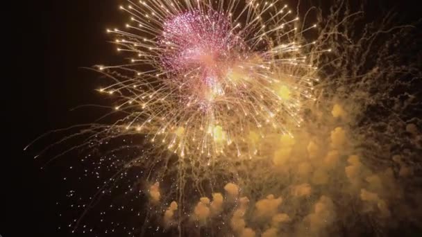 Volleys Firework Splits Millions Lights Night Sky Vibrant Colorful Fireworks — Stock videók