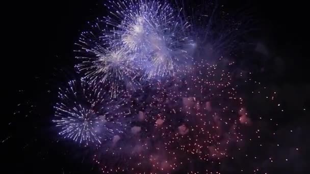 Volleys Firework Splits Millions Lights Night Sky Vibrant Colorful Fireworks — стоковое видео