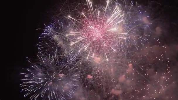Volleys Firework Splits Millions Lights Night Sky Vibrant Colorful Fireworks — Stock video