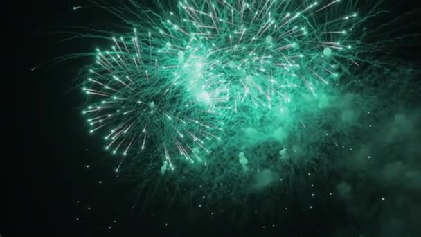 Volleys Firework Splits Millions Lights Night Sky Vibrant Colorful Fireworks — стоковое видео