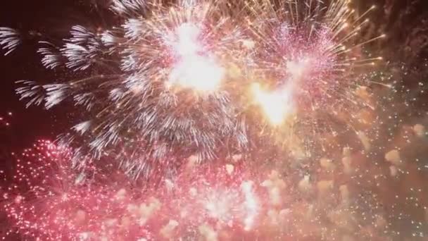 Volleys Vuurwerk Verdeelt Miljoenen Lichten Aan Nachtelijke Hemel Levendige Kleurrijke — Stockvideo