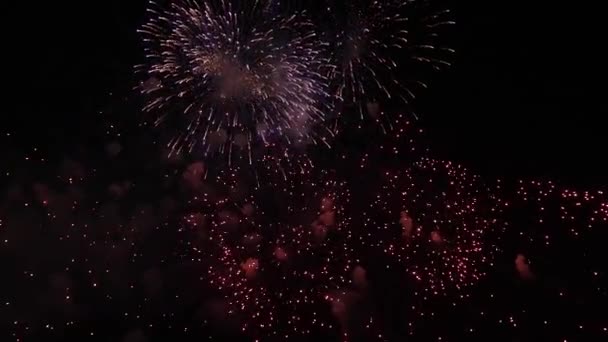 Volleys Firework Splits Millions Lights Night Sky Vibrant Colorful Fireworks — Vídeos de Stock