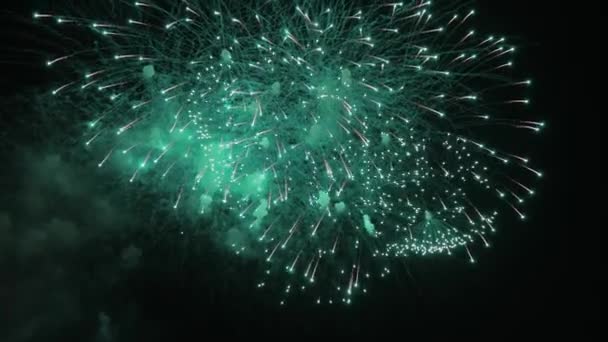 Volleys Firework Splits Millions Lights Night Sky Vibrant Colorful Fireworks — Video Stock