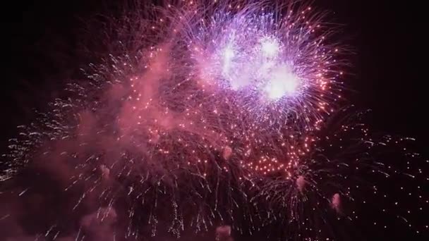 Volleys Firework Splits Millions Lights Night Sky Vibrant Colorful Fireworks — Videoclip de stoc