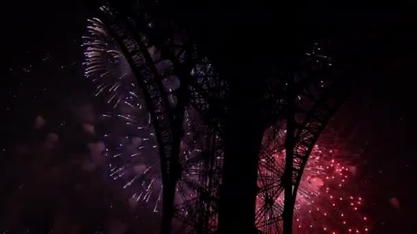 Fuochi Artificio Colorati Sulla Torre Eiffel Parigi Francia — Video Stock