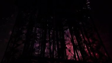 Paris, Fransa 'daki Eyfel Kulesi üzerinde kutlama havai fişekleri 