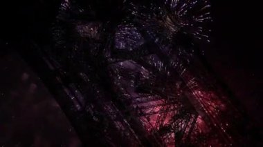 Paris, Fransa 'daki Eyfel Kulesi üzerinde kutlama havai fişekleri 