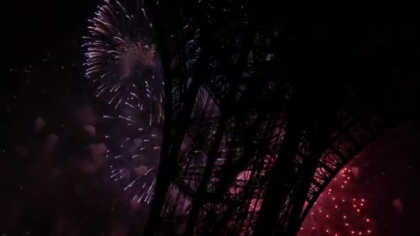 Feu Artifice Coloré Sur Tour Eiffel Paris France — Video