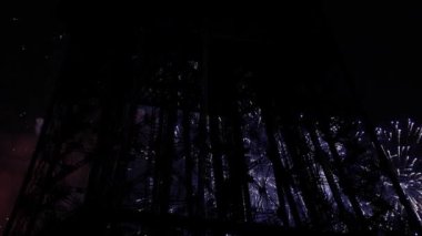 Paris, Fransa 'daki Eyfel Kulesi üzerinde kutlama havai fişekleri 