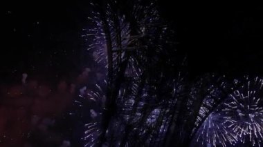 Paris, Fransa 'daki Eyfel Kulesi üzerinde kutlama havai fişekleri 