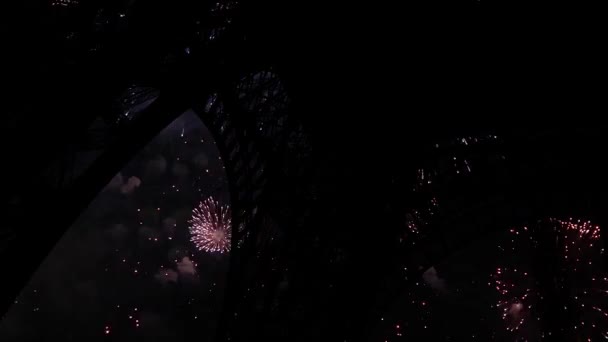 Fuochi Artificio Colorati Sulla Torre Eiffel Parigi Francia — Video Stock