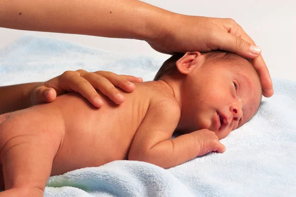 Mamá y recién nacidos — Foto de Stock