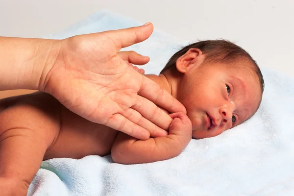 Mamá y recién nacidos — Foto de Stock