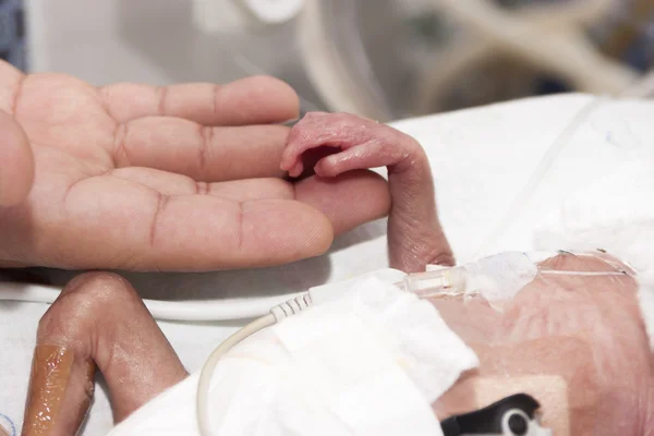 Recién nacido y mano — Foto de Stock