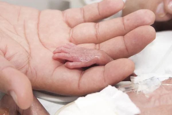 Newborn and hand — Stock Photo, Image