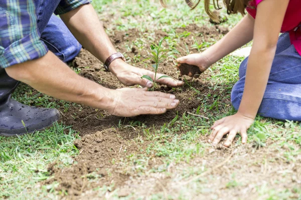 Family Planting — Stock Photo, Image