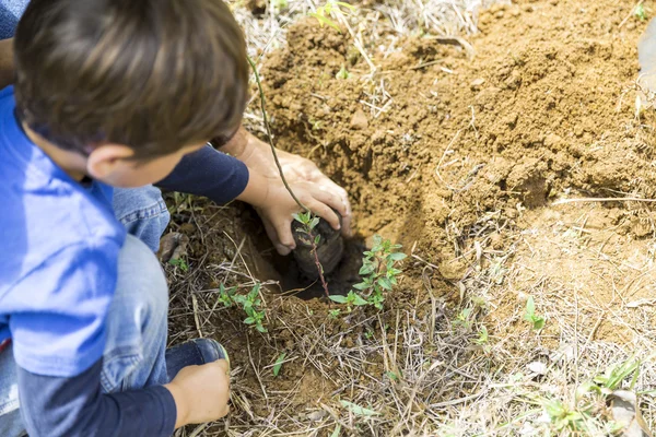 Padre e Figlio Piantare — Foto Stock