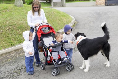 çocuk ve köpek ile güzel annesi