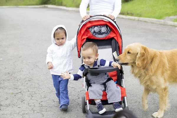 Madre encantadora con sus hijos y perro — Foto de Stock