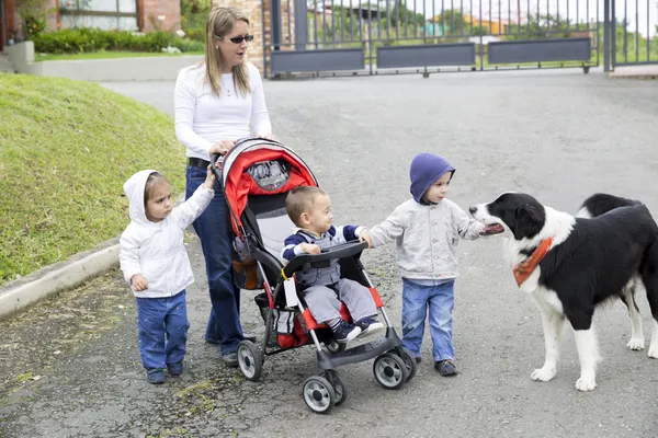 Piękne matki z jej dzieci i pies — Zdjęcie stockowe