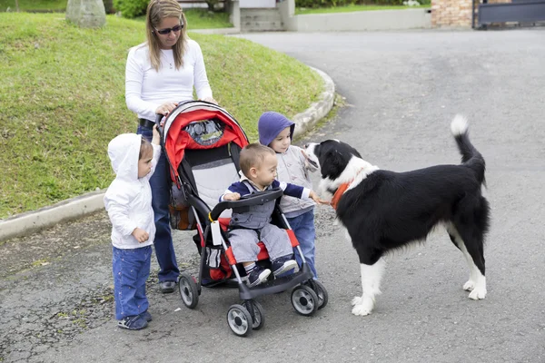 Linda mãe com seus filhos e cachorro — Fotografia de Stock