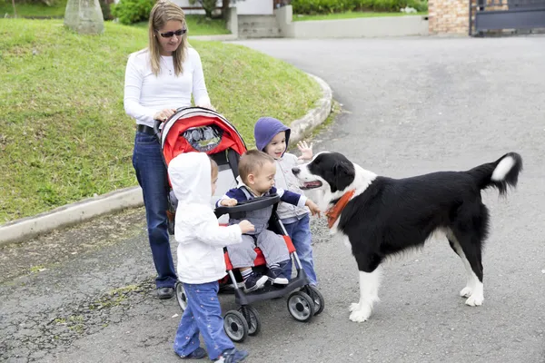 Çocuk ve köpek ile güzel annesi — Stok fotoğraf