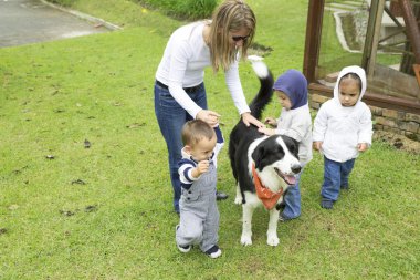 evde beslenen hayvan ile oynarken sevimli aile