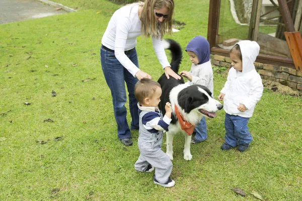 Underbara familj leker med sällskapsdjur — Stockfoto