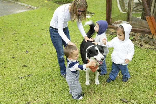 Adorável família brincando com animal de estimação — Fotografia de Stock