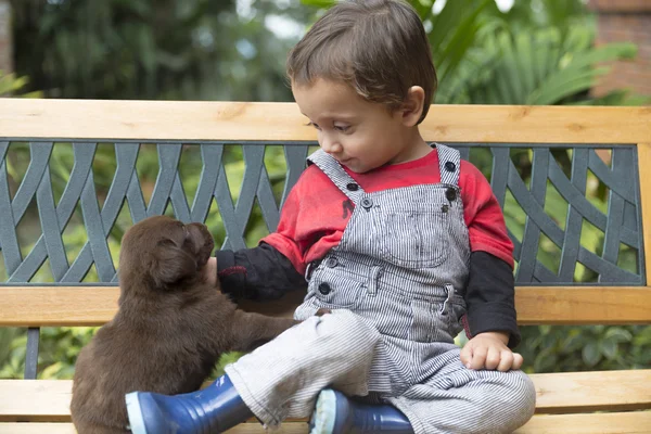 Bebek ve köpeği — Stok fotoğraf