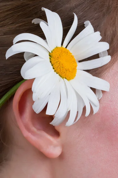 En flicka med en daisy bakom örat — Stockfoto