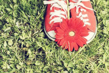 kırmızı spor ayakkabılar 