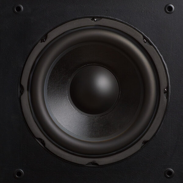 Audio speaker. Subwoofer close-up