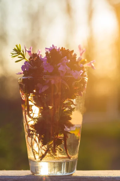 Strauß kleiner Blumen — Stockfoto