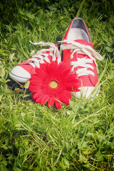 Zapatillas de deporte rojas y flor — Foto de Stock