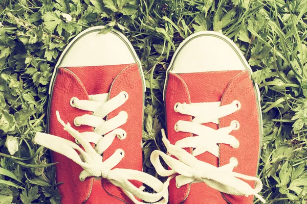 Zapatillas de deporte rojas — Foto de Stock