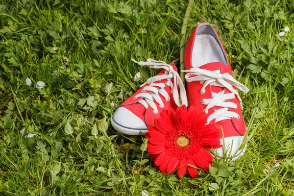 Červené tenisky s kytkou gerbera — Stock fotografie