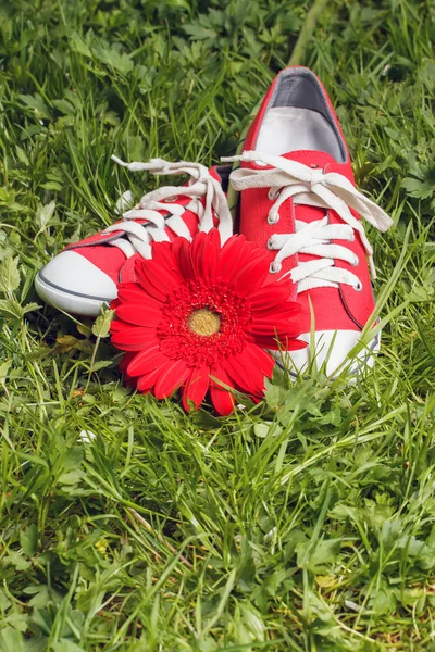 Rode sneakers met bloem — Stockfoto
