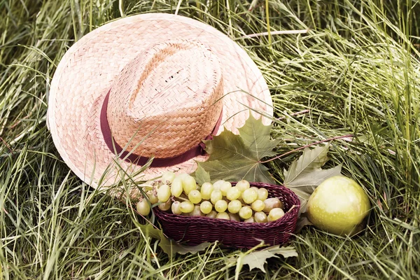 Tempo di picnic — Foto Stock